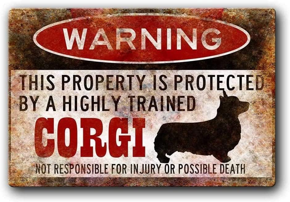 DAOLEG Warning Corgi Metal Pla - огляд і ціна Retro Gaming Cafe